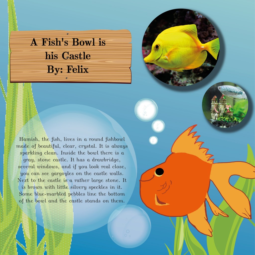 Book 1 - P14